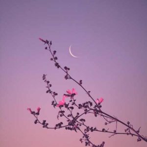 دانلود اهنگ وصله نگات به من ستاره رو تنت انداخته برق